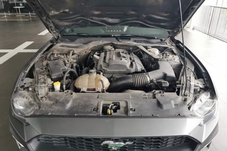 Used Ford Mustang 2019 2.3L EcoBoost Performance Enhanced Edition Engine Bay