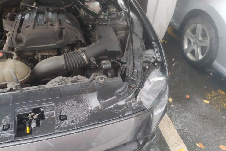 Used Ford Mustang 2019 2.3L EcoBoost Engine Bay Left