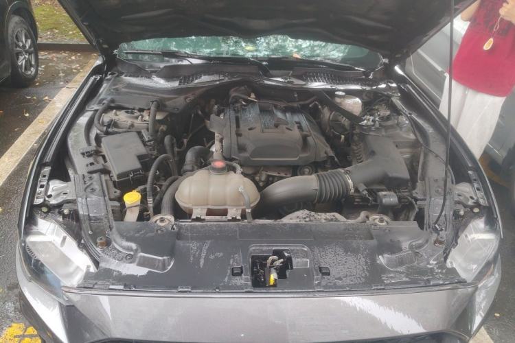 Used Ford Mustang 2019 2.3L EcoBoost Engine Bay