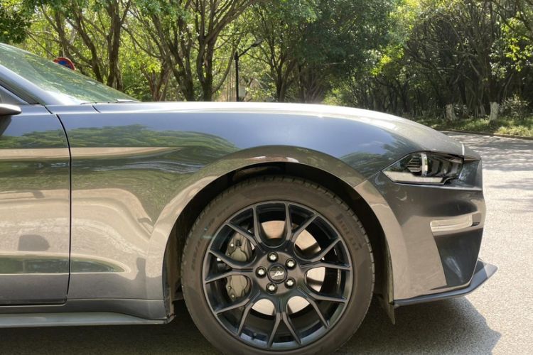 Used Ford Mustang 2019 2.3L EcoBoost Performance Enhanced Edition Exterior 3