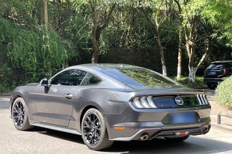 Used Ford Mustang 2019 2.3L EcoBoost Performance Enhanced Edition Exterior 4