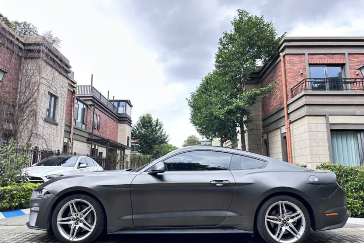 Used Ford Mustang 2019 2.3L EcoBoost Performance Enhanced Edition Exterior 4