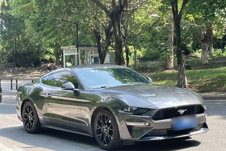 Used Ford Mustang 2019 2.3L EcoBoost Performance Enhanced Edition Exterior 5