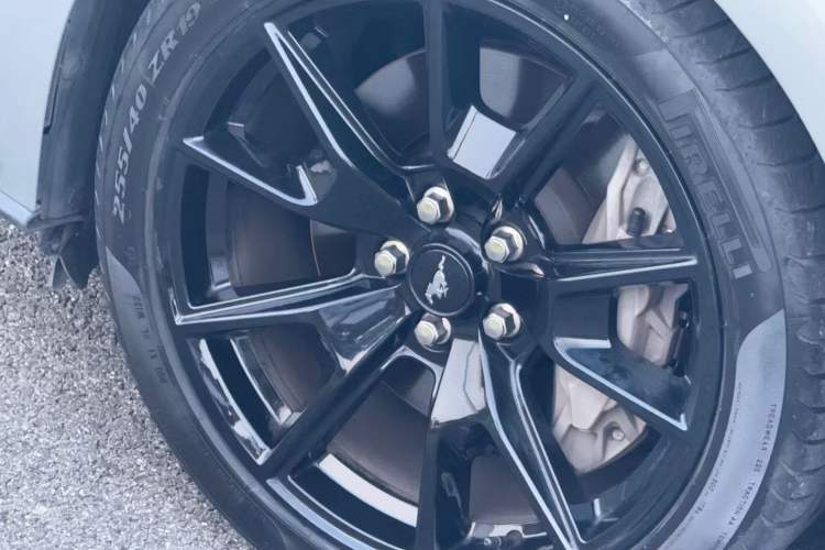 Used Ford Mustang 2019 2.3L EcoBoost Exterior 6