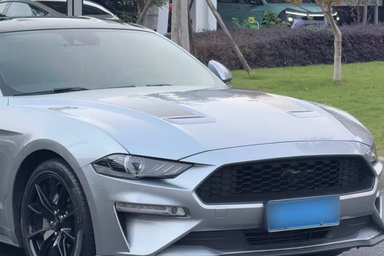 Used Ford Mustang 2019 2.3L EcoBoost Exterior 8