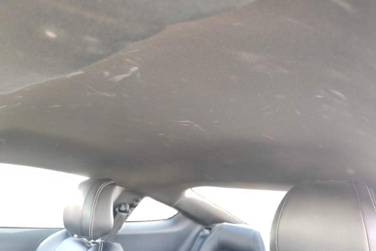 Used Ford Mustang 2019 2.3L EcoBoost Headliner