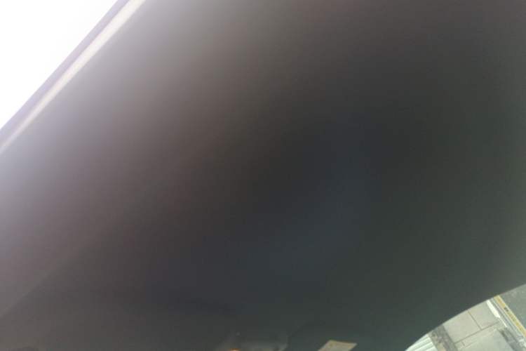 Used Ford Mustang 2019 2.3L EcoBoost Performance Enhanced Edition Headliner
