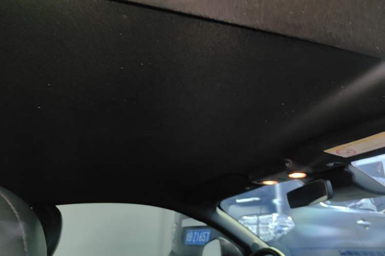 Used Ford Mustang 2019 2.3L EcoBoost Headliner