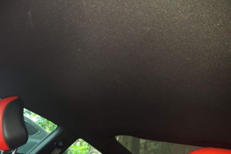 Used Ford Mustang 2019 2.3L EcoBoost Headliner