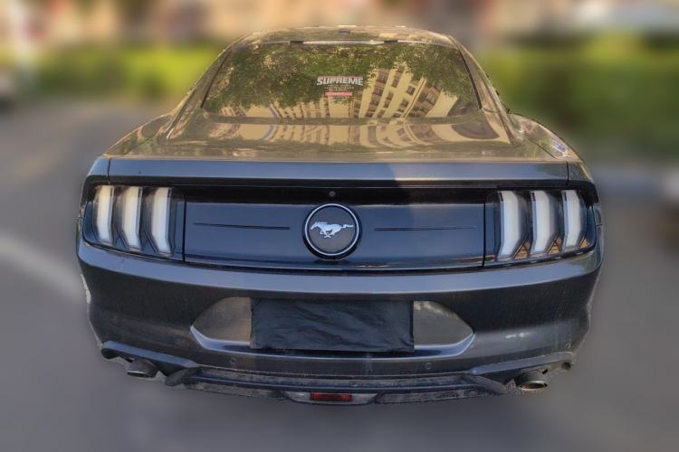 Used Ford Mustang 2019 2.3L EcoBoost Rear