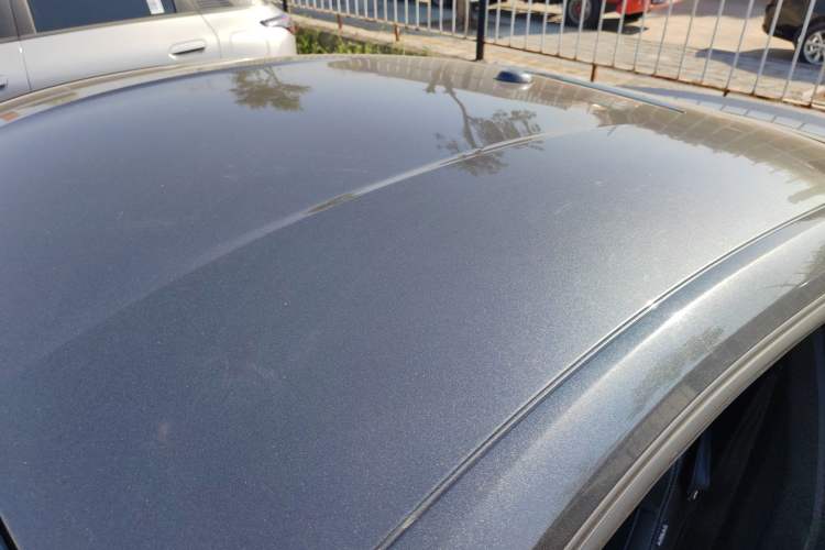 Used Ford Mustang 2019 2.3L EcoBoost Roof
