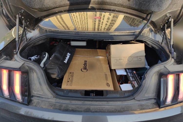 Used Ford Mustang 2019 2.3L EcoBoost Trunk