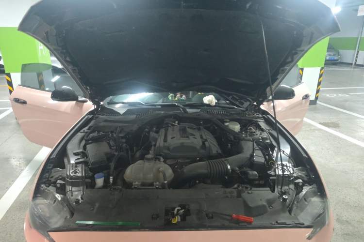 Used Ford Mustang 2019 2.3L EcoBoost Engine Bay