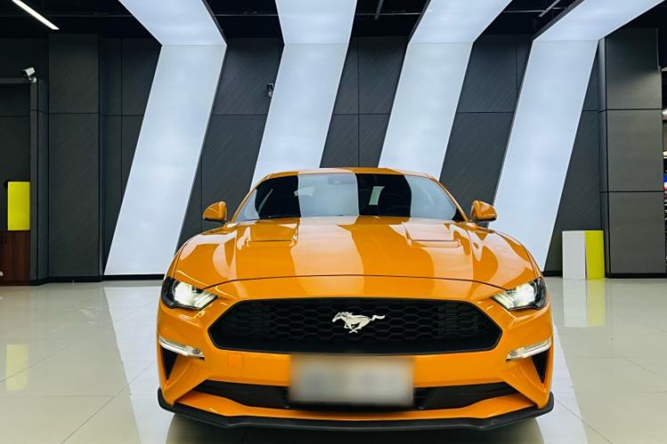 Used Ford Mustang 2019 2.3L EcoBoost Exterior 1