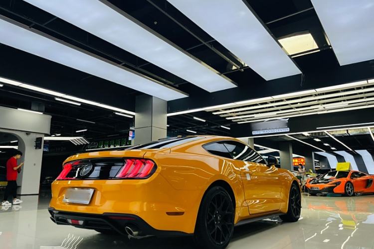 Used Ford Mustang 2019 2.3L EcoBoost Exterior 4