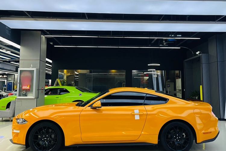 Used Ford Mustang 2019 2.3L EcoBoost Exterior 5
