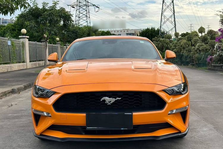 Used Ford Mustang 2019 2.3L EcoBoost Exterior 5