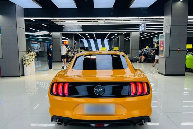 Used Ford Mustang 2019 2.3L EcoBoost Exterior 6