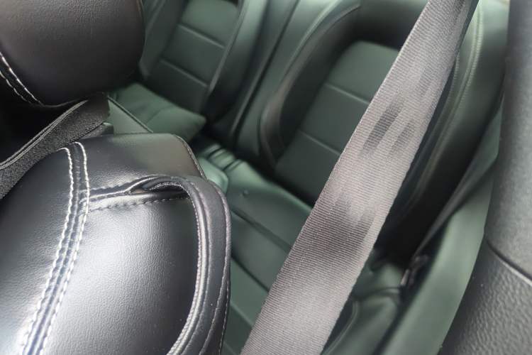 Used Ford Mustang 2019 2.3L EcoBoost Performance Enhanced Edition Left Rear Seat