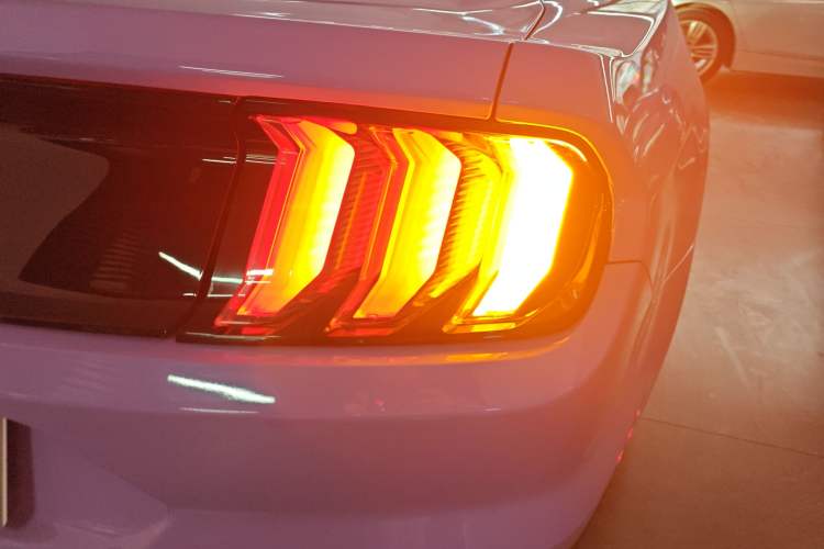 Used Ford Mustang 2019 2.3L EcoBoost Exterior 6