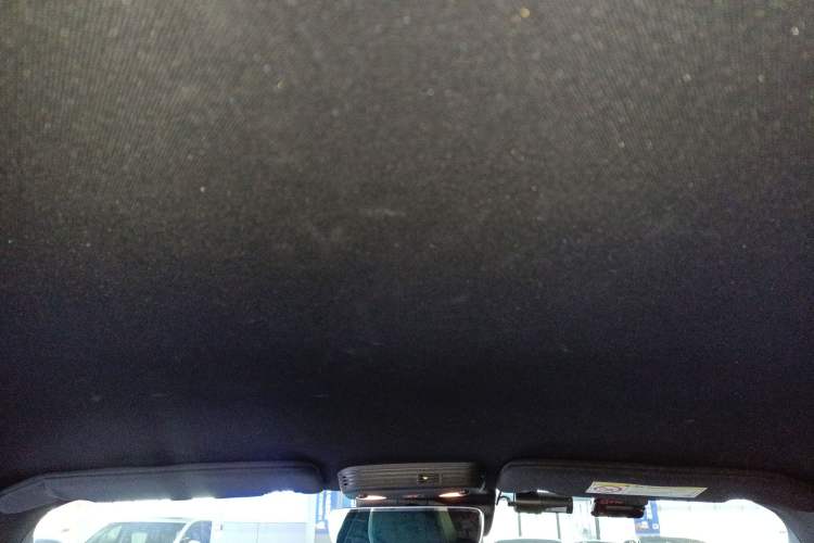 Used Ford Mustang 2019 2.3L EcoBoost Headliner