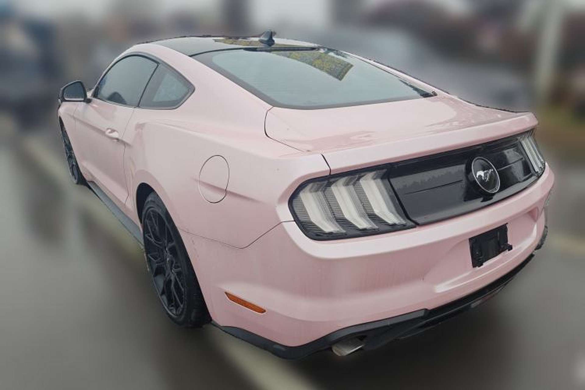 Used Ford Mustang 2019 2.3L EcoBoost Rear Left 45 Deg