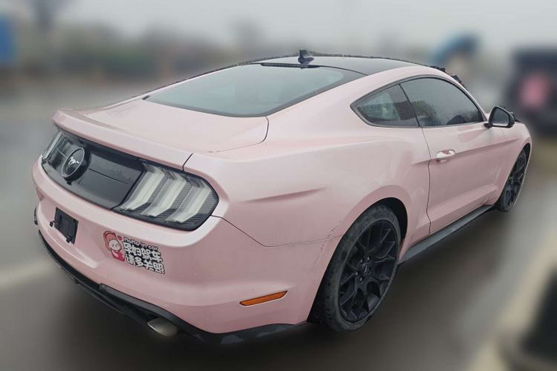 Used Ford Mustang 2019 2.3L EcoBoost Rear Right 45 Deg