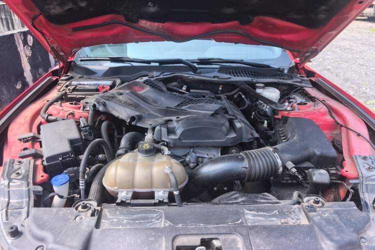 Used Ford Mustang 2019 2.3L EcoBoost Dark Knight Sport Edition Engine Bay