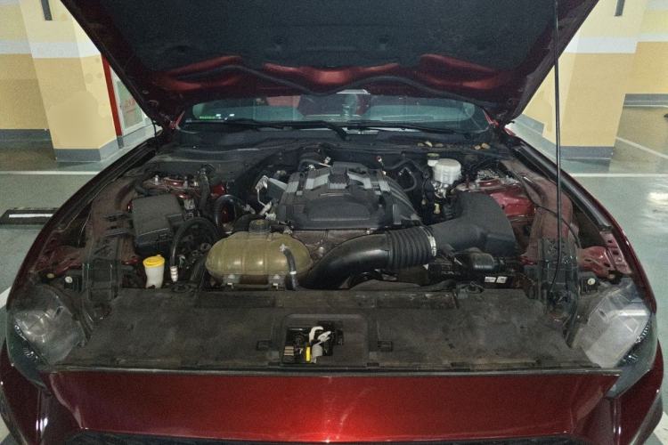 Used Ford Mustang  Engine Bay