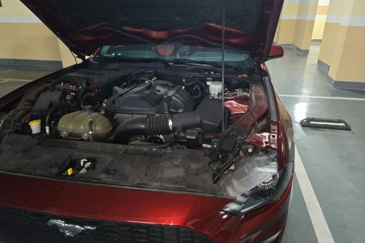 Used Ford Mustang  Engine Bay Left