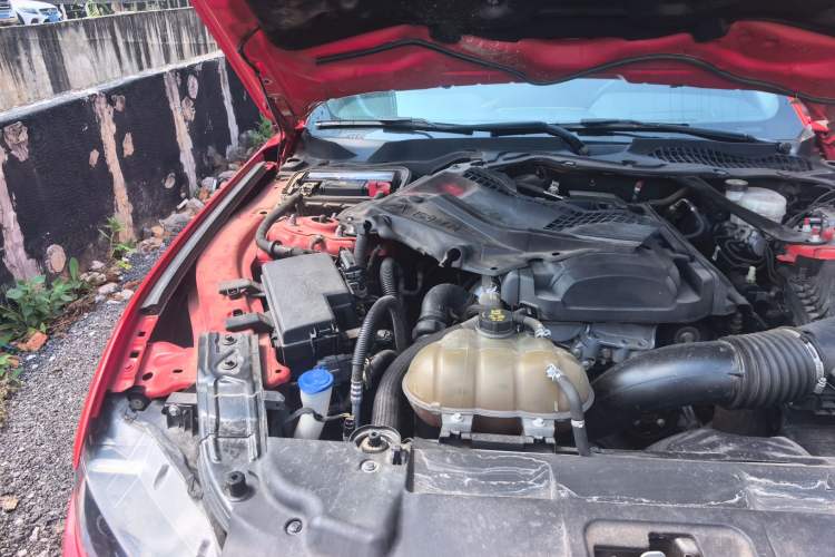 Used Ford Mustang 2019 2.3L EcoBoost Dark Knight Sport Edition Engine Bay Right