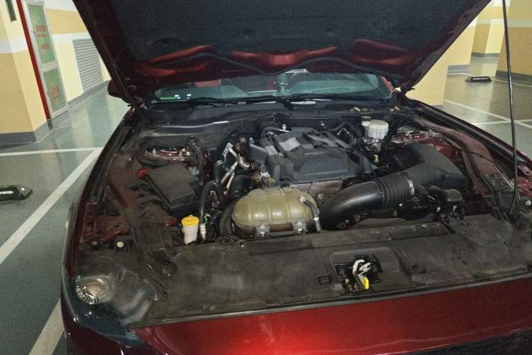 Used Ford Mustang  Engine Bay Right