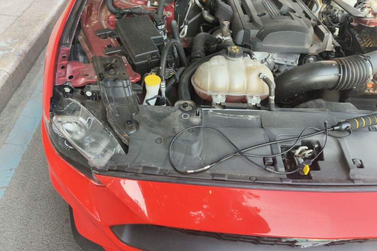 Used Ford Mustang 2019 2.3L EcoBoost Engine Bay Right