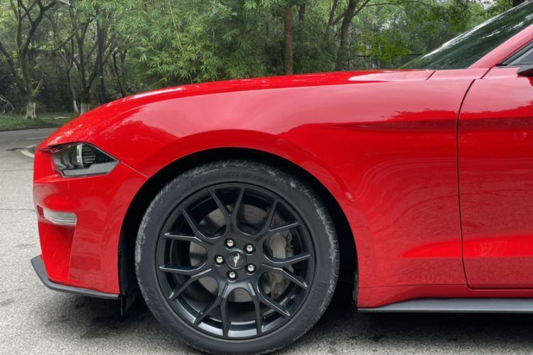 Used Ford Mustang 2019 2.3L EcoBoost Exterior 3
