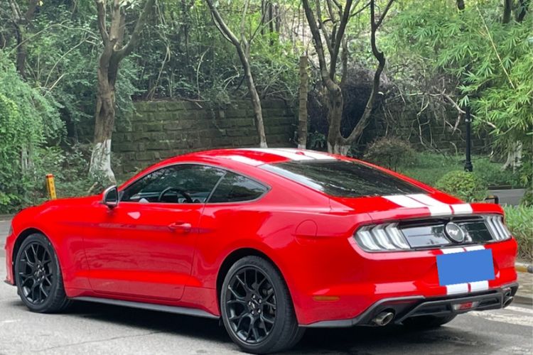Used Ford Mustang 2019 2.3L EcoBoost Exterior 5
