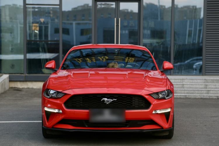 Used Ford Mustang 2019 2.3L EcoBoost Exterior 5