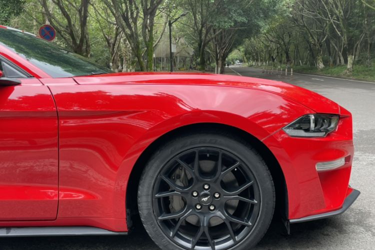 Used Ford Mustang 2019 2.3L EcoBoost Exterior 8