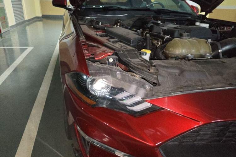 Used Ford Mustang  Right Front Headlight