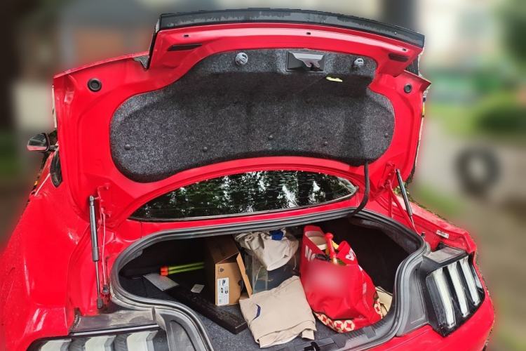 Used Ford Mustang 2019 2.3L EcoBoost Trunk