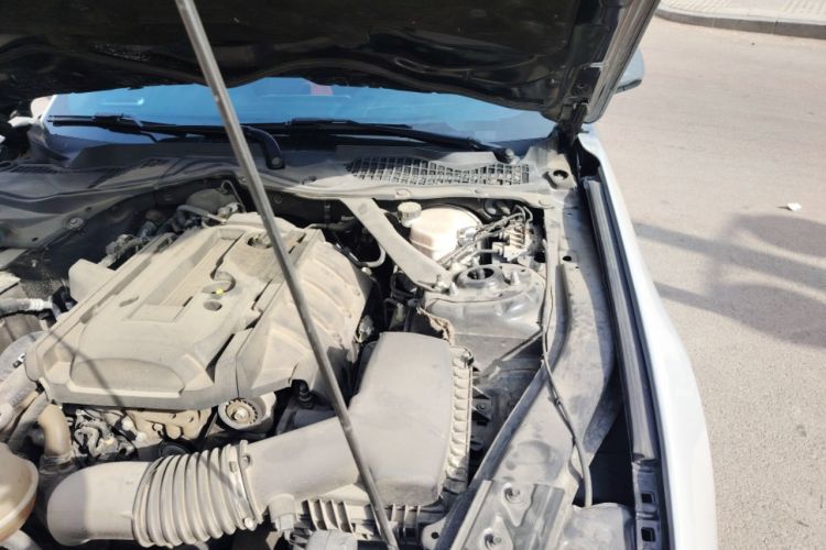 Used Ford Mustang 2019 2.3L EcoBoost Engine Bay Left