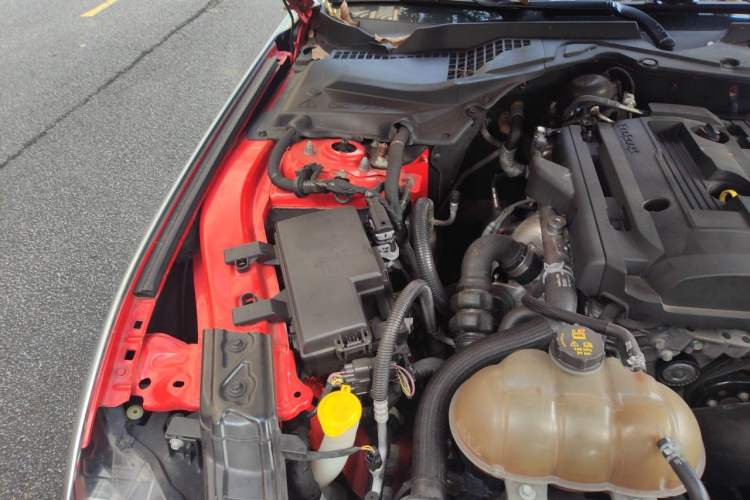 Used Ford Mustang 2019 2.3L EcoBoost Performance Enhanced Edition Engine Bay Right