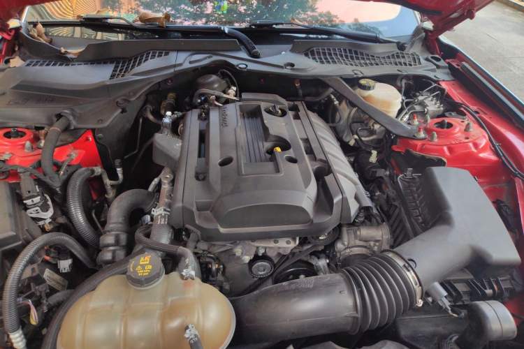 Used Ford Mustang 2019 2.3L EcoBoost Performance Enhanced Edition Engine Bay