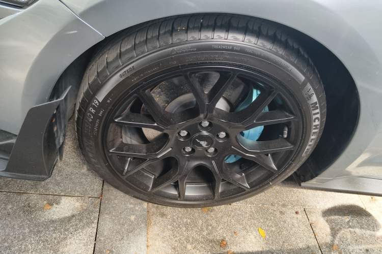 Used Ford Mustang 2019 2.3L EcoBoost Exterior 3