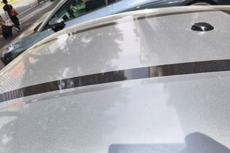 Used Ford Mustang 2019 2.3L EcoBoost Roof