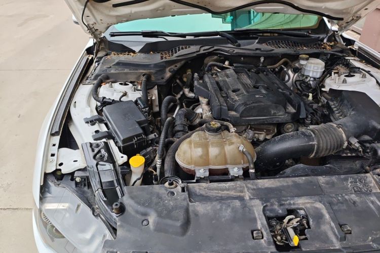 Used Ford Mustang 2019 2.3T EcoBoost Engine Bay Right