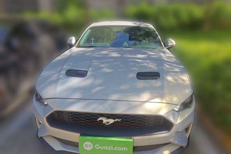 Used Ford Mustang 2019 2.3L EcoBoost Front