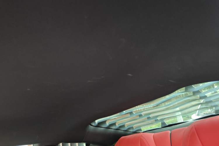 Used Ford Mustang 2019 2.3L EcoBoost Headliner