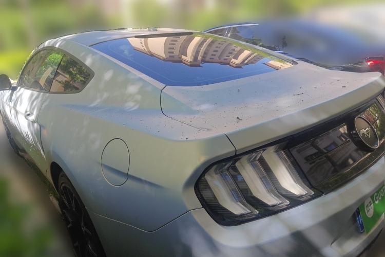 Used Ford Mustang 2019 2.3L EcoBoost Rear Left 45 Deg