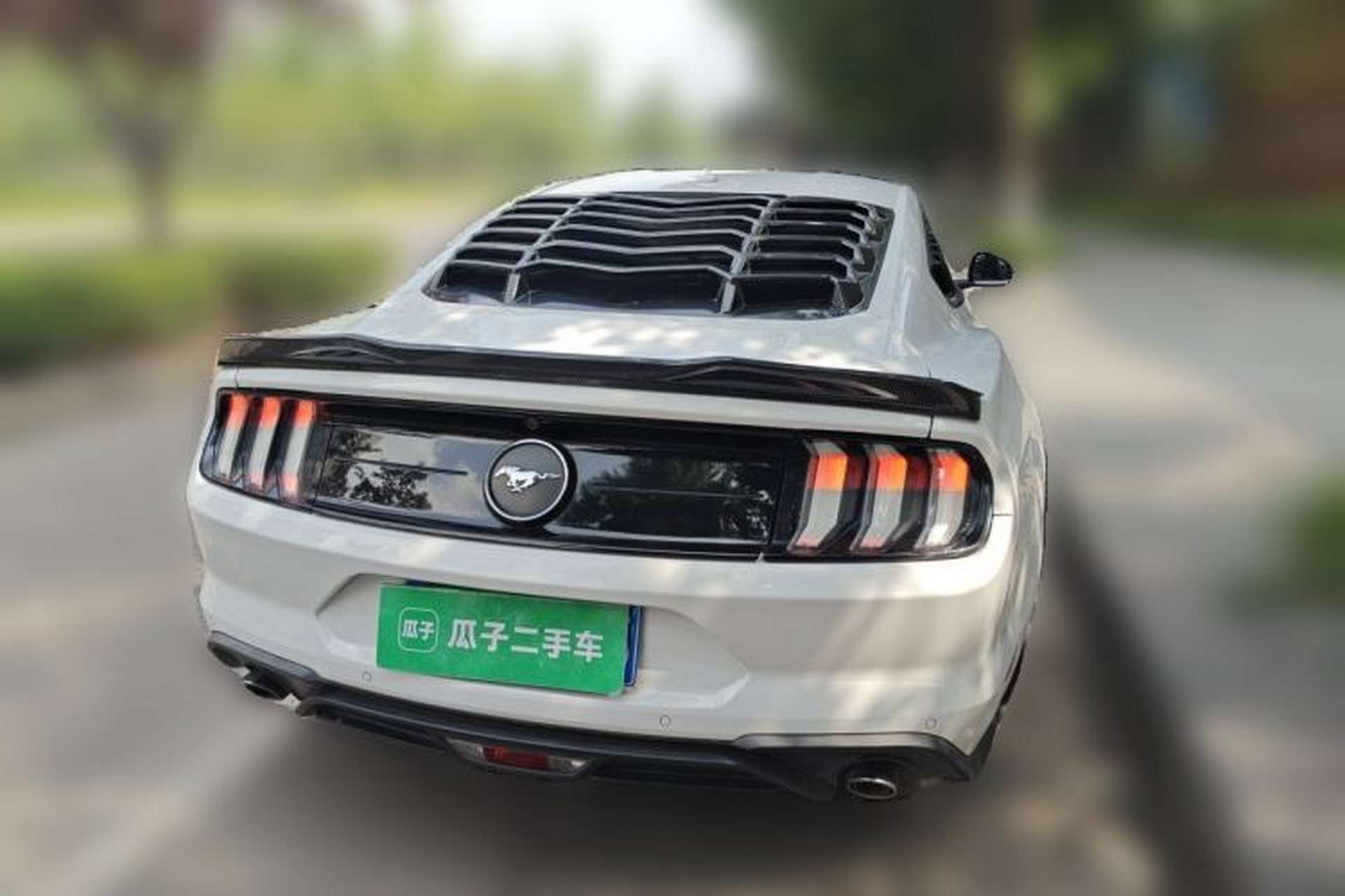 Used Ford Mustang 2019 2.3L EcoBoost Rear