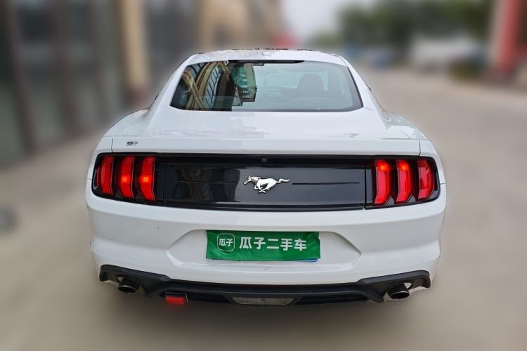 Used Ford Mustang 2019 2.3T EcoBoost Rear